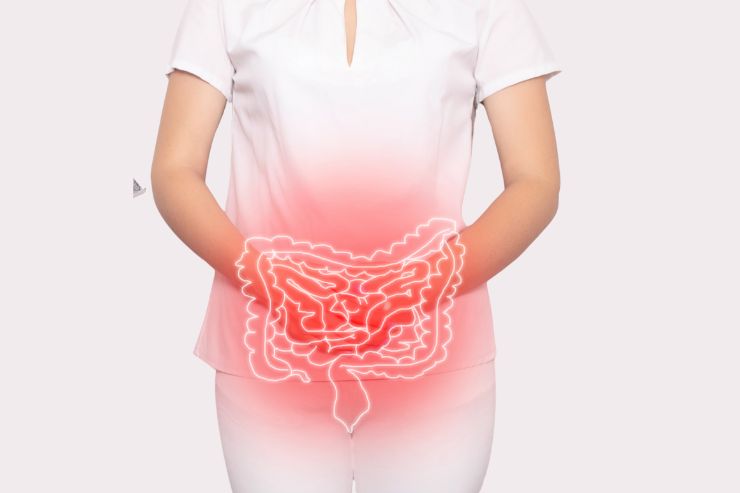 Gastrointestinal & Renal Health